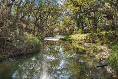 (private lake, pond, coastal) Acreage For Sale in Coleman Texas