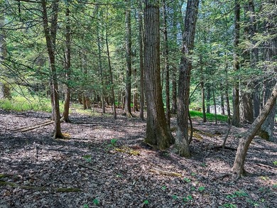 Welcome to this wooded lot in Saylorsburg, Pennsylvania - photo 4