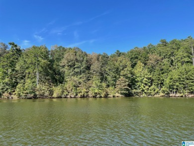 Waterfront lot convenient to town. 131.41 feet of waterfrontage - Lake Lot For Sale in Wedowee, Alabama