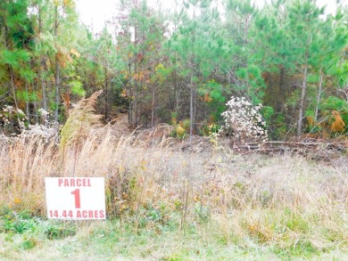 Lake Lot For Sale in Halifax, Virginia