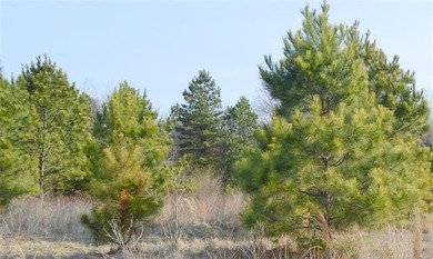 Take a look at this parcel of undeveloped pasture just a mile - photo 11