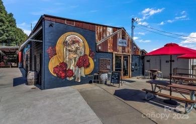 Step out your door into the heart of downtown Asheville! This