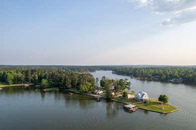 Completely reimagined and beautifully renovated, this Lake - photo 41