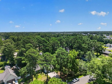 Three-bedroom, two-bathroom, single-story ranch home with a - photo 46
