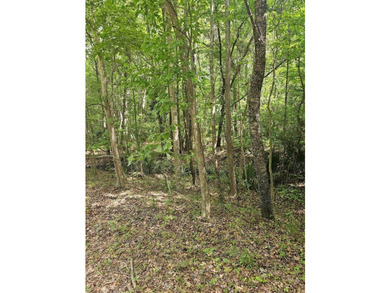 Nestled in the heart of Johns Island, this beautiful and - photo 1
