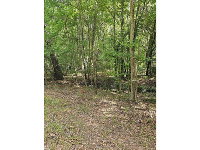Nestled in the heart of Johns Island, this beautiful and - photo 2