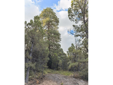 Property Summary - Acreage: 798 +/- deeded acres - Elevation: 5 - photo 3
