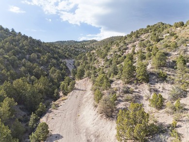 Property Summary - Acreage: 798 +/- deeded acres - Elevation: 5 - photo 10