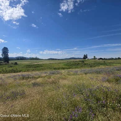 This rare find 3-bedroom home is centrally located and offers - photo 8