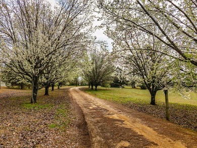 Experience peaceful country living on 25 beautiful acres in the - photo 3