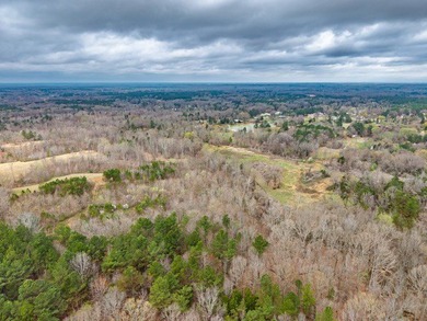 Experience peaceful country living on 25 beautiful acres in the - photo 10