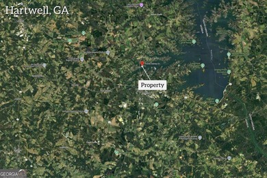 This stunning deep-water lake lot on Lake Hartwell offers 110 - photo 11