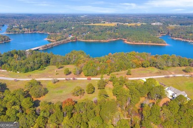 This stunning deep-water lake lot on Lake Hartwell offers 110 - photo 14
