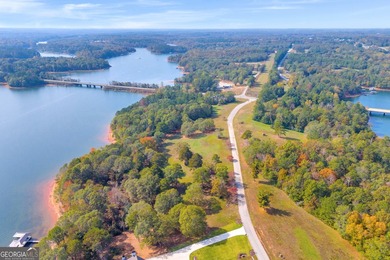 This stunning deep-water lake lot on Lake Hartwell offers 110 - photo 17