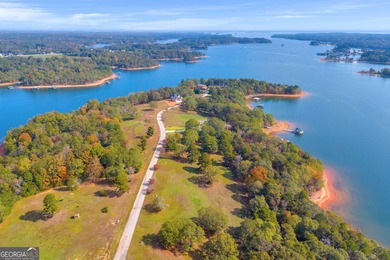 This stunning deep-water lake lot on Lake Hartwell offers 110 - photo 19