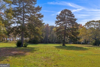 This stunning deep-water lake lot on Lake Hartwell offers 110 - photo 21