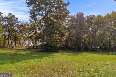 This stunning deep-water lake lot on Lake Hartwell offers 110 - photo 23