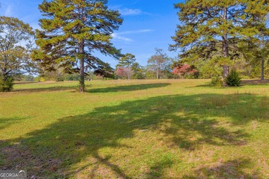 This stunning deep-water lake lot on Lake Hartwell offers 110 - photo 24