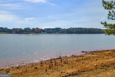 This stunning deep-water lake lot on Lake Hartwell offers 110 - photo 26