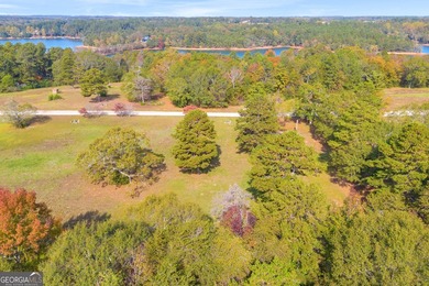This stunning deep-water lake lot on Lake Hartwell offers 110 - photo 28