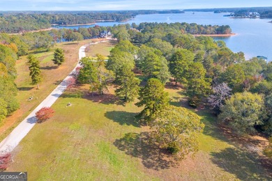 This stunning deep-water lake lot on Lake Hartwell offers 110 - photo 29