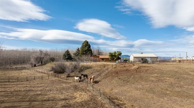 This 21.1-acre offering includes five contiguous parcels in a - photo 29
