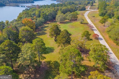 This stunning deep-water lake lot on Lake Hartwell offers 110 - photo 30