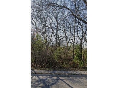 Chain O Lakes - Pistakee Lake Lot For Sale in Fox Lake Illinois