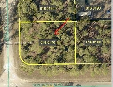 Lehigh Acres Area Lot For Sale in Lehigh Acres Florida