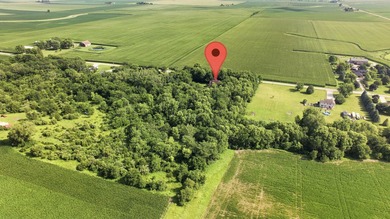 Some homes offer ACREAGE and others offer PRIVACY, but this one - photo 46
