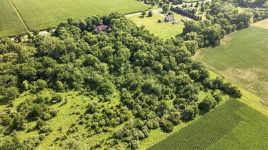 Some homes offer ACREAGE and others offer PRIVACY, but this one - photo 47