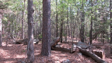 Lake Acreage For Sale in Antlers, Oklahoma