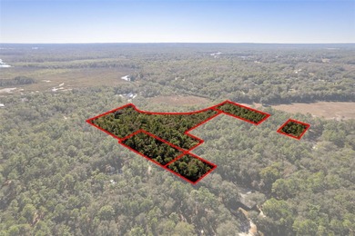 Tsala Apopka Chain of Lakes Acreage For Sale in Inverness Florida
