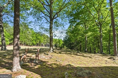 Escape to your own private mountain retreat in the highly sought - photo 39