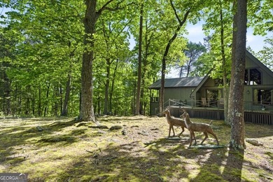 Escape to your own private mountain retreat in the highly sought - photo 40