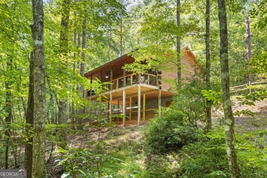 Lake Home For Sale in Blue Ridge, Georgia