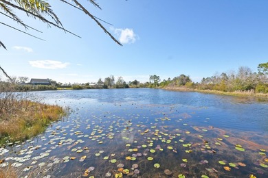 Welcome to 1824 Mallard Dr, Unit B, a well-maintained residence - photo 44