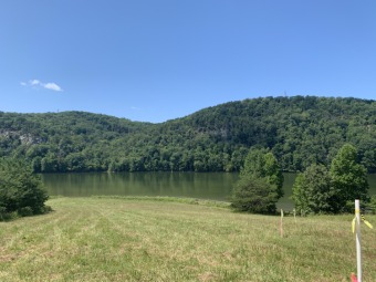 Gorgeous Views up and down and across the lake from this Primo-La - Lake Lot For Sale in Pittsville, Virginia