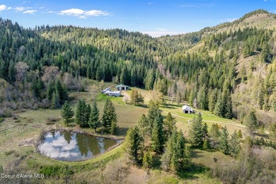 Spanning 94.5 acres of prime North Idaho ground, this property - photo 3
