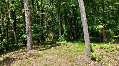 Country living at its best! Check out this recently renovated - photo 20