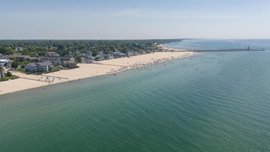 Wake up to the beauty of Lake Michigan in this charming, fully - photo 31