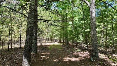 Country living at its best! Check out this recently renovated - photo 36