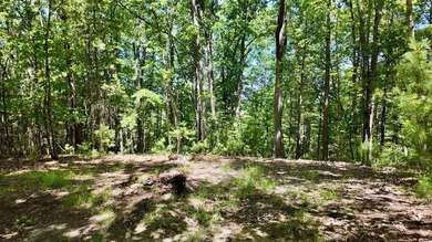 Country living at its best! Check out this recently renovated - photo 38
