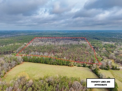 63.20 acres conveniently located 8 miles from Water Valley and - photo 2