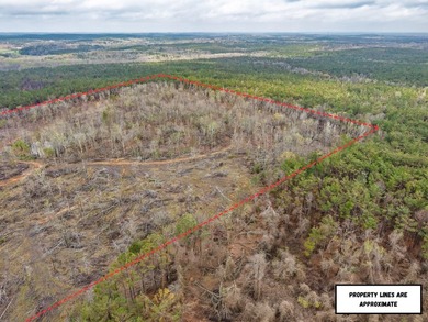 63.20 acres conveniently located 8 miles from Water Valley and - photo 3