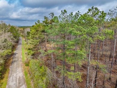 63.20 acres conveniently located 8 miles from Water Valley and - photo 4