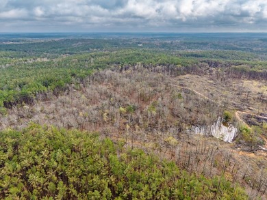 63.20 acres conveniently located 8 miles from Water Valley and - photo 5
