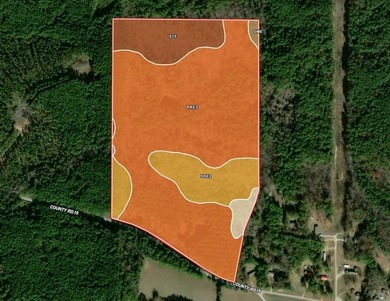 63.20 acres conveniently located 8 miles from Water Valley and - photo 7
