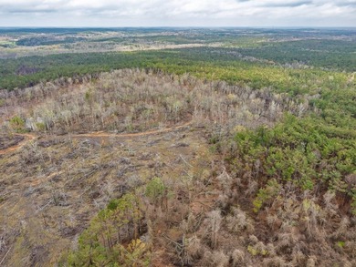 63.20 acres conveniently located 8 miles from Water Valley and - photo 8