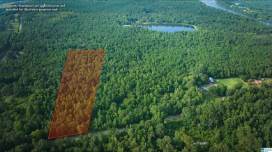 Logan Martin Lake Acreage For Sale in Ragland Alabama